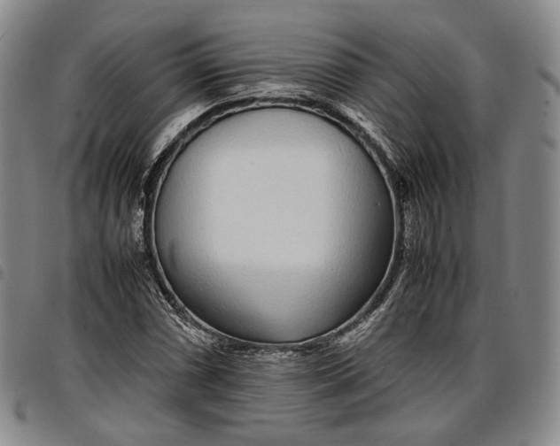 X0000096651066200802191237