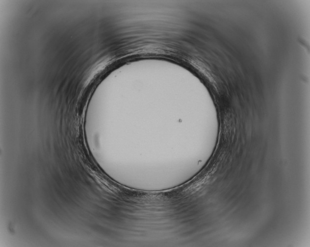 X0000096651067200802191237