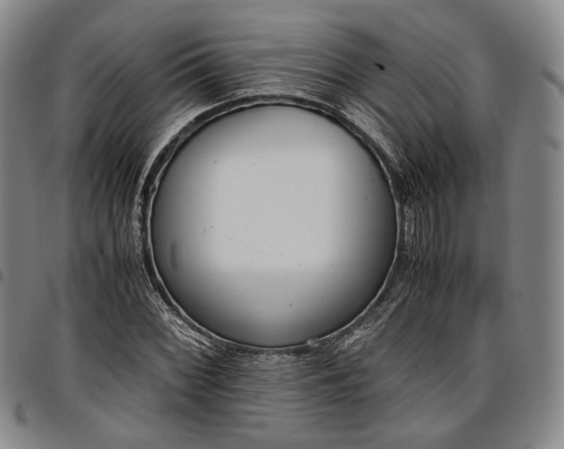 X0000096651068200802191237