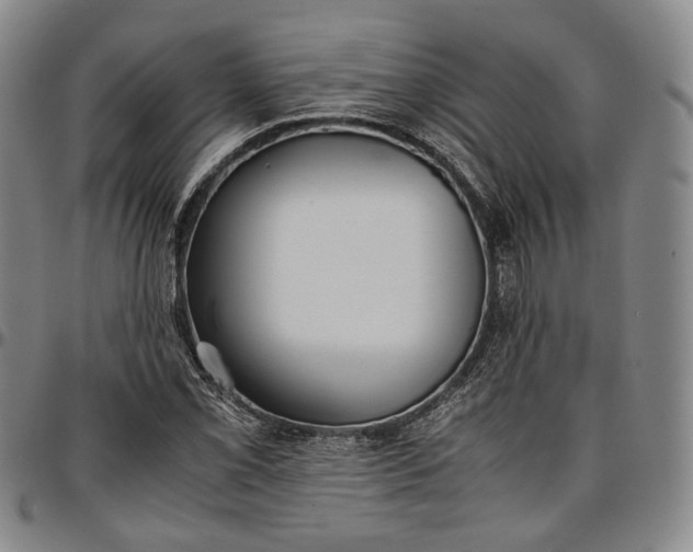 X0000096651069200802191237
