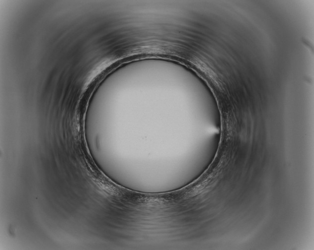 X0000096651070200802191237