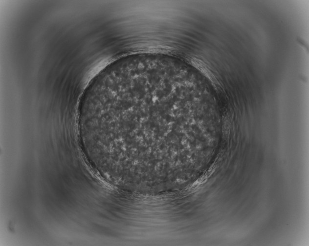 X0000096651071200802191237