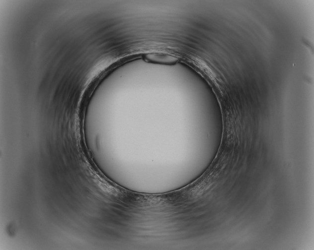 X0000096651072200802191237
