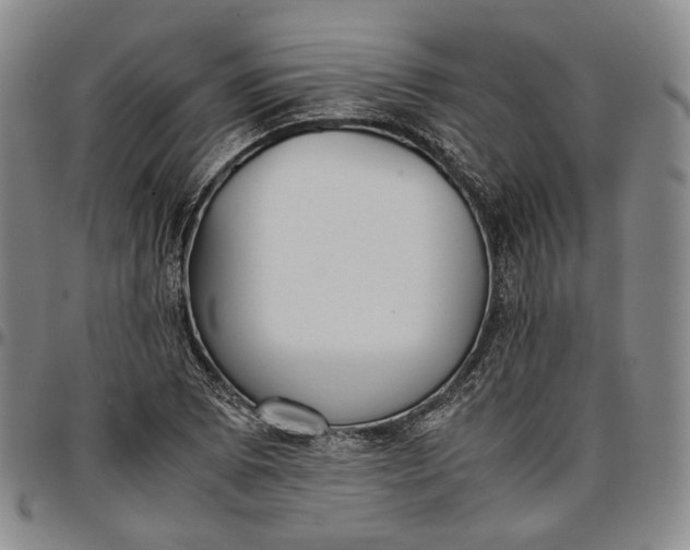 X0000096651073200802191237