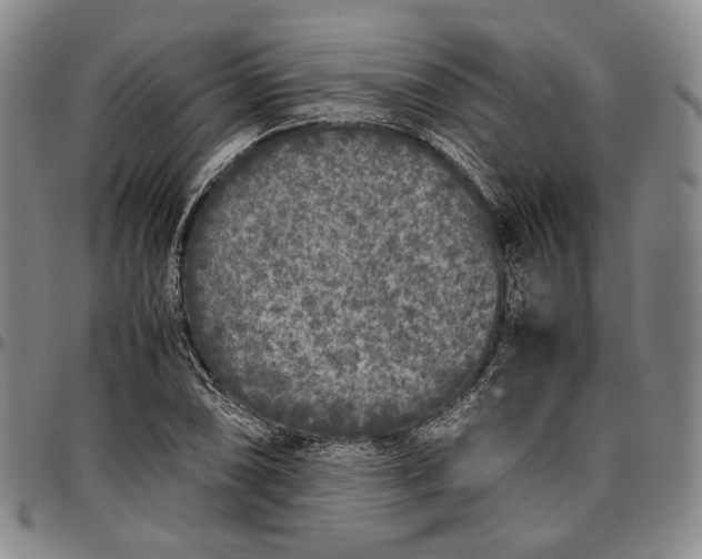 X0000096651074200802191237