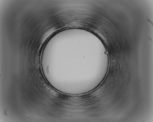 X0000096651075200802191237