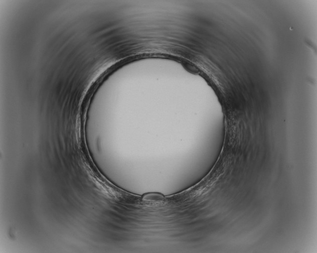 X0000096651076200802191237