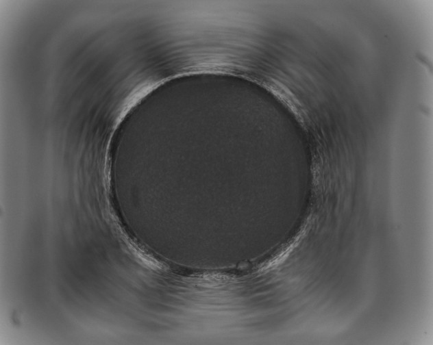 X0000096651077200802191237