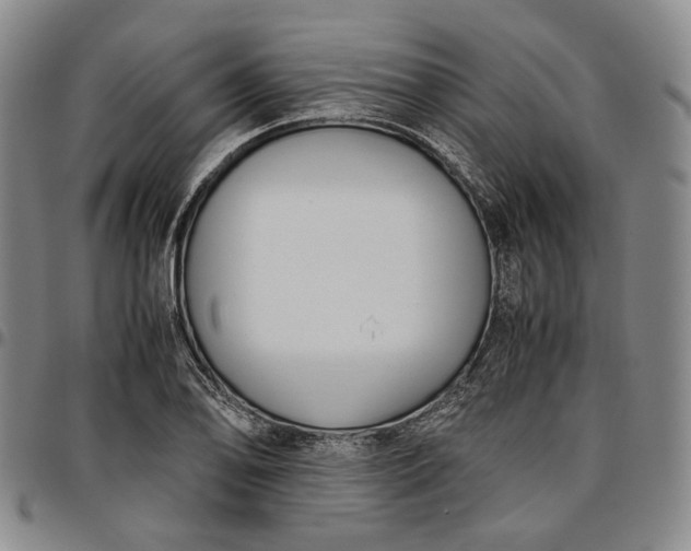 X0000096651078200802191237