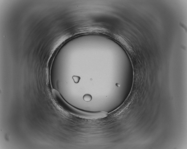 X0000096651079200802191237