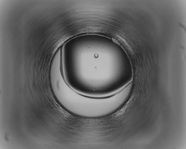 X0000096651081200802191237