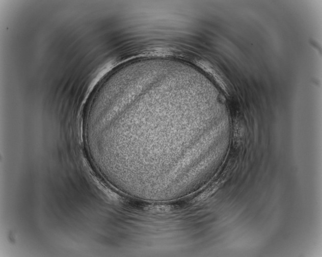 X0000096651083200802191237