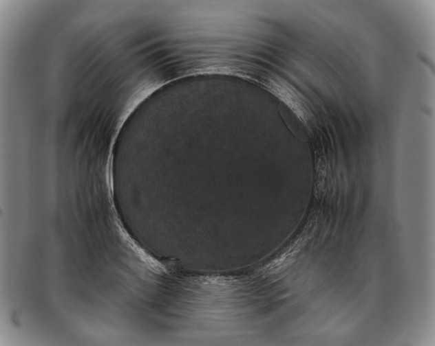 X0000096651084200802191237