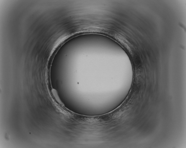 X0000096651085200802191237