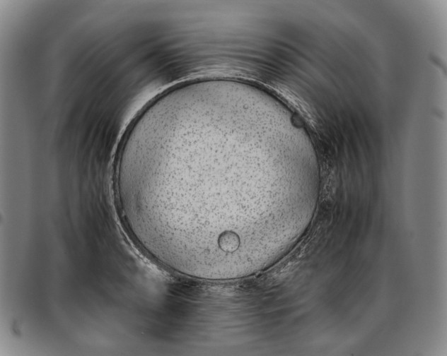 X0000096651086200802191237
