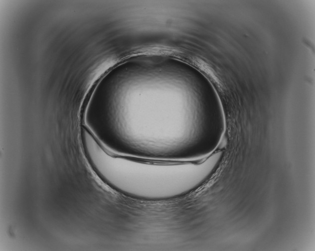 X0000096651087200802191237