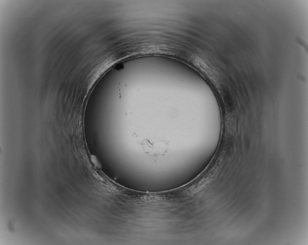 X0000096651089200802191237