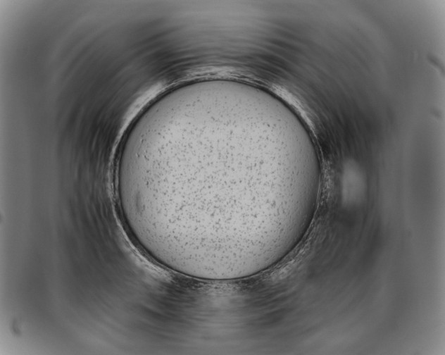 X0000096651090200802191237
