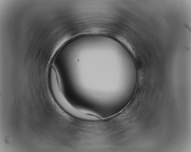X0000096651091200802191237