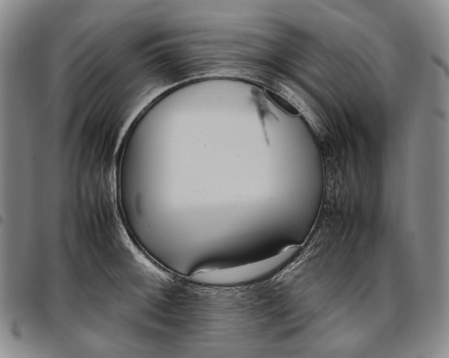 X0000096651092200802191237