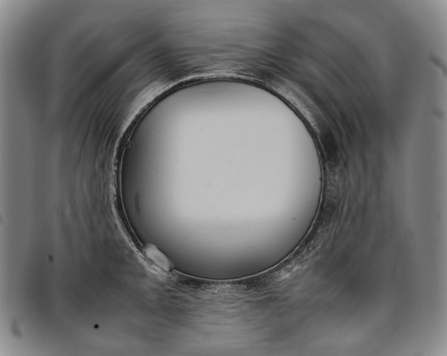 X0000096651093200802191237