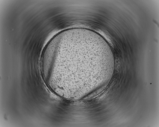 X0000096651094200802191237