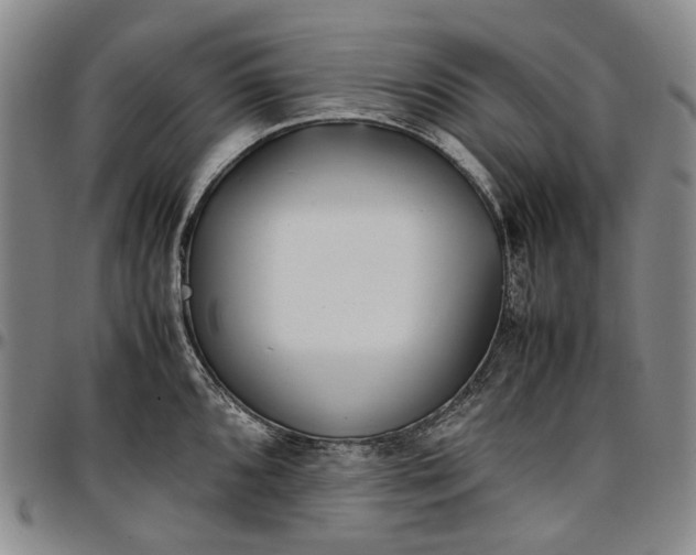 X0000096651096200802191237