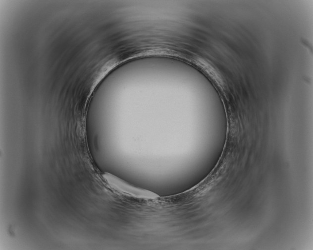 X0000096651097200802191237