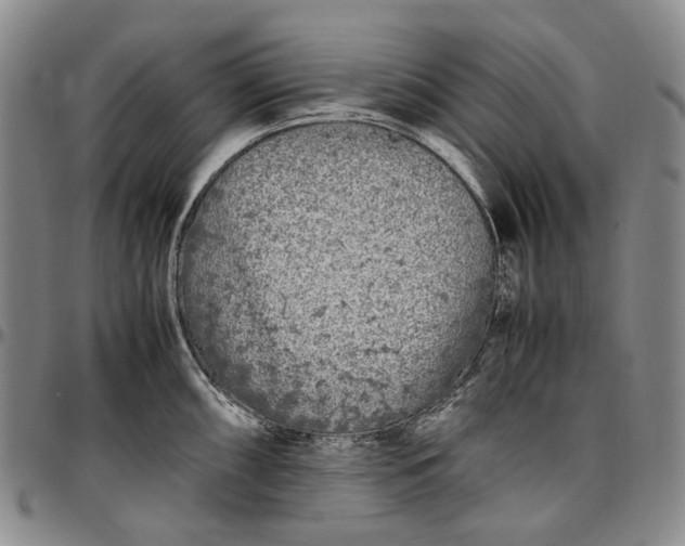 X0000096651098200802191237