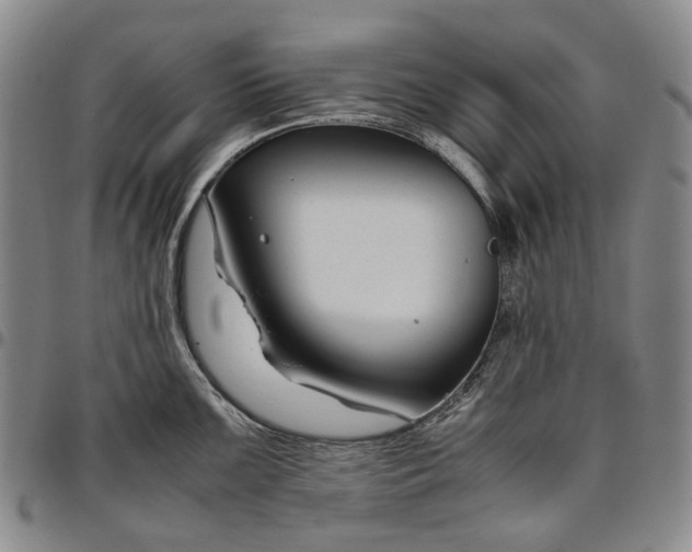 X0000096651099200802191237