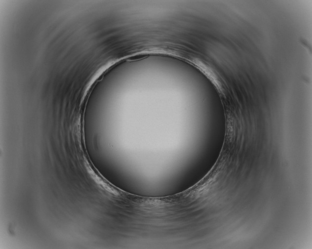 X0000096651100200802191237