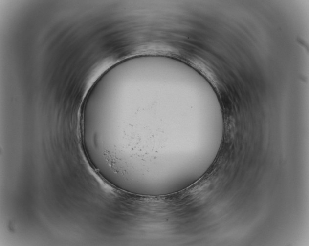 X0000096651103200802191237