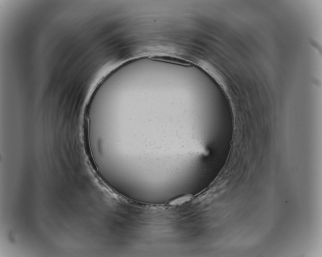 X0000096651104200802191237