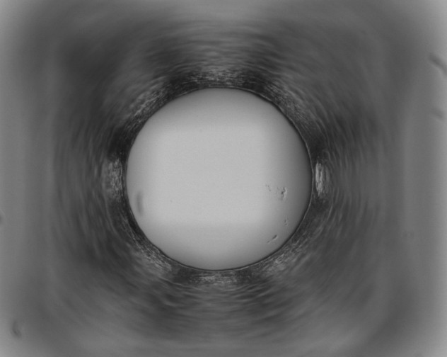 X0000096651107200802191236