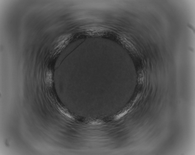 X0000096651108200802191236