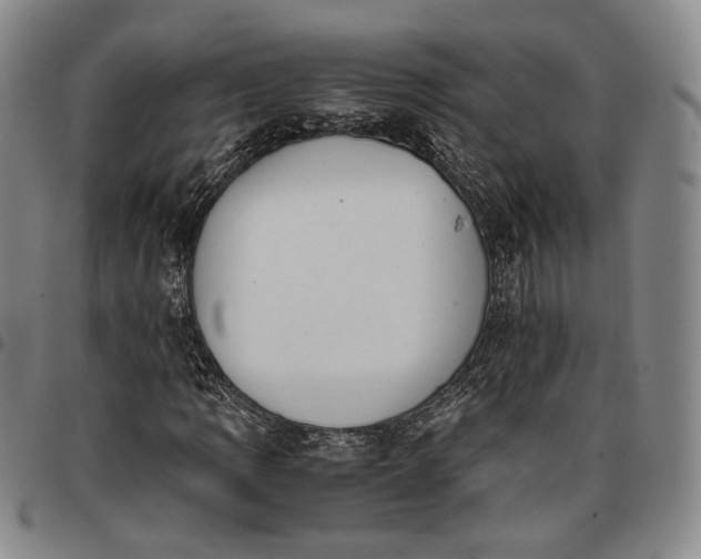 X0000096651109200802191236