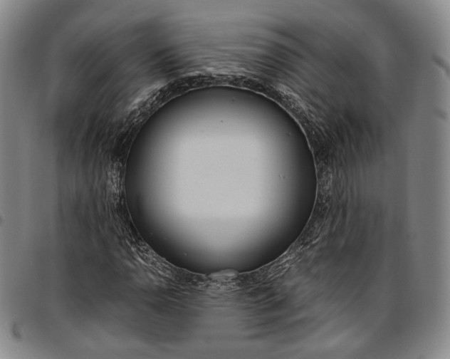 X0000096651110200802191236