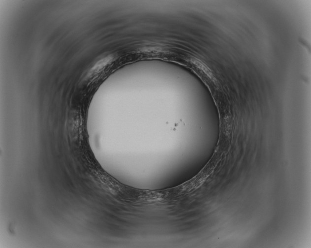 X0000096651111200802191236