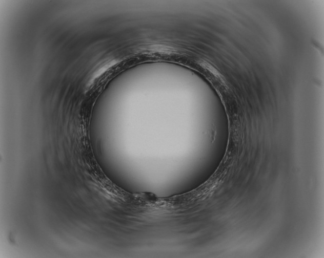 X0000096651112200802191236