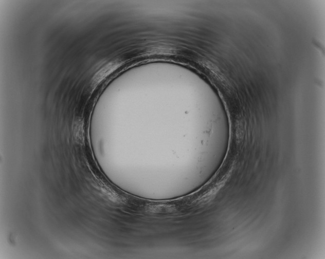 X0000096651113200802191236