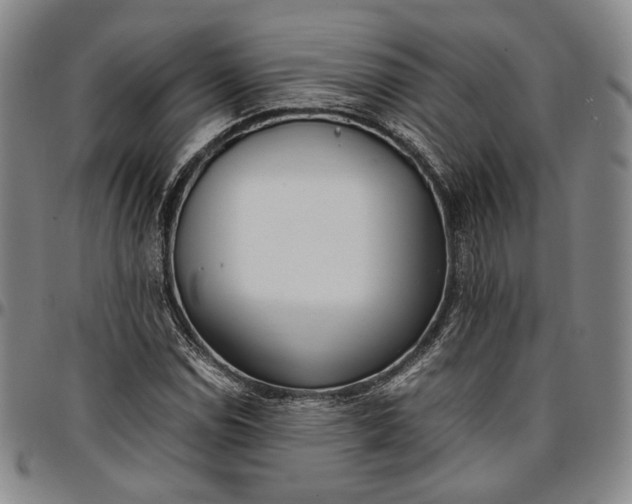 X0000096651114200802191236