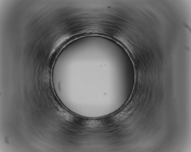 X0000096651115200802191236