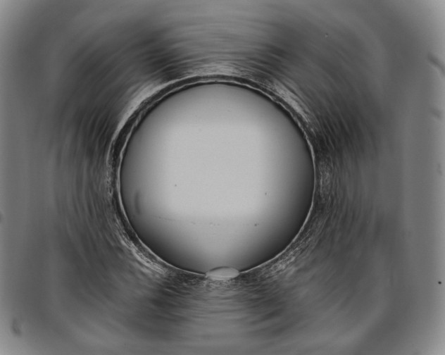 X0000096651116200802191236