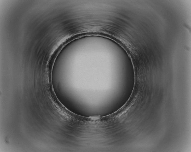 X0000096651118200802191236
