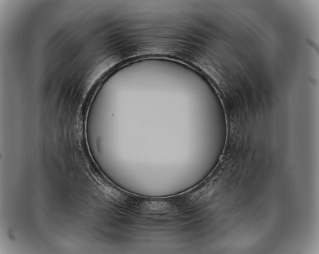 X0000096651119200802191236