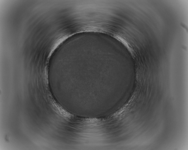 X0000096651120200802191236