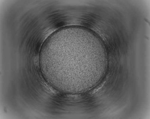 X0000096651121200802191236