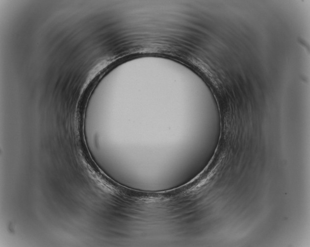 X0000096651122200802191236
