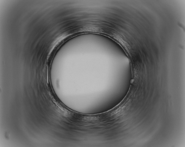 X0000096651123200802191236