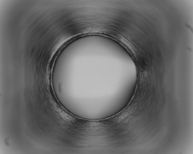 X0000096651124200802191236